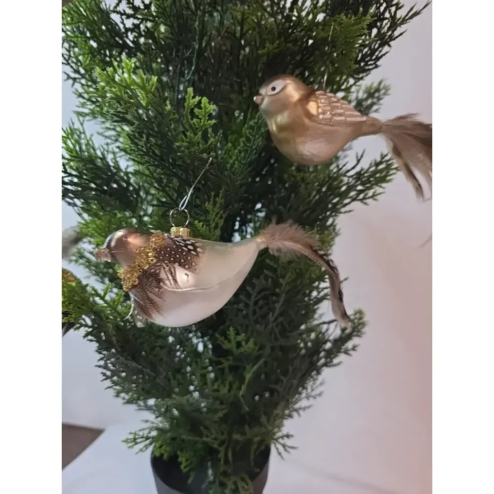 4 Bird Ornaments With Long Feathers 6